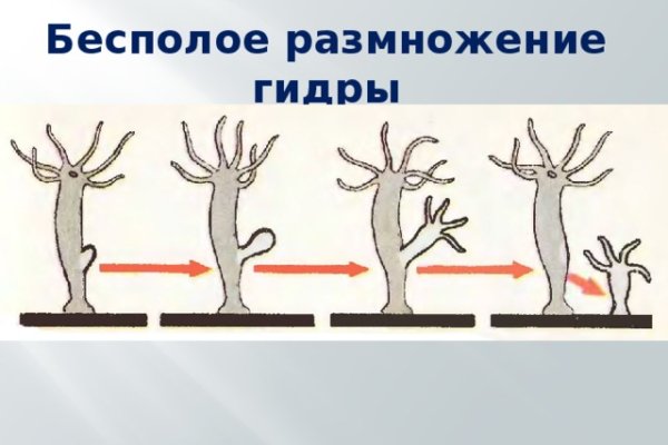 Кракен торговая площадка даркнет