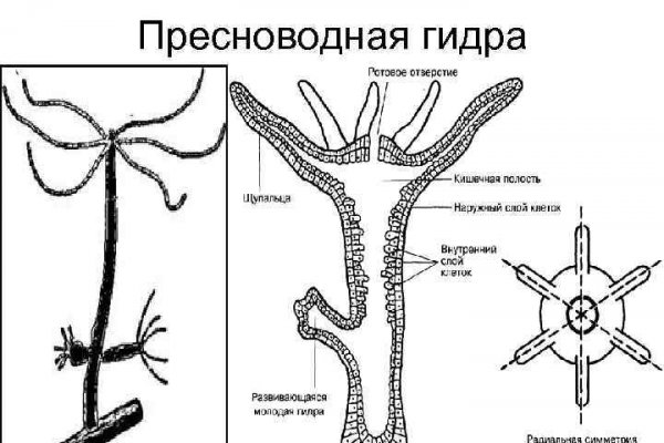 Ссылка на кракен маркет