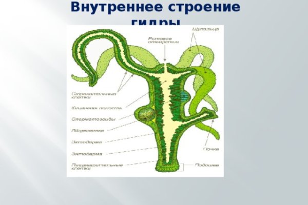 Кракен магазин kraken clear com