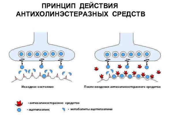 Ссылка на кракен реальная