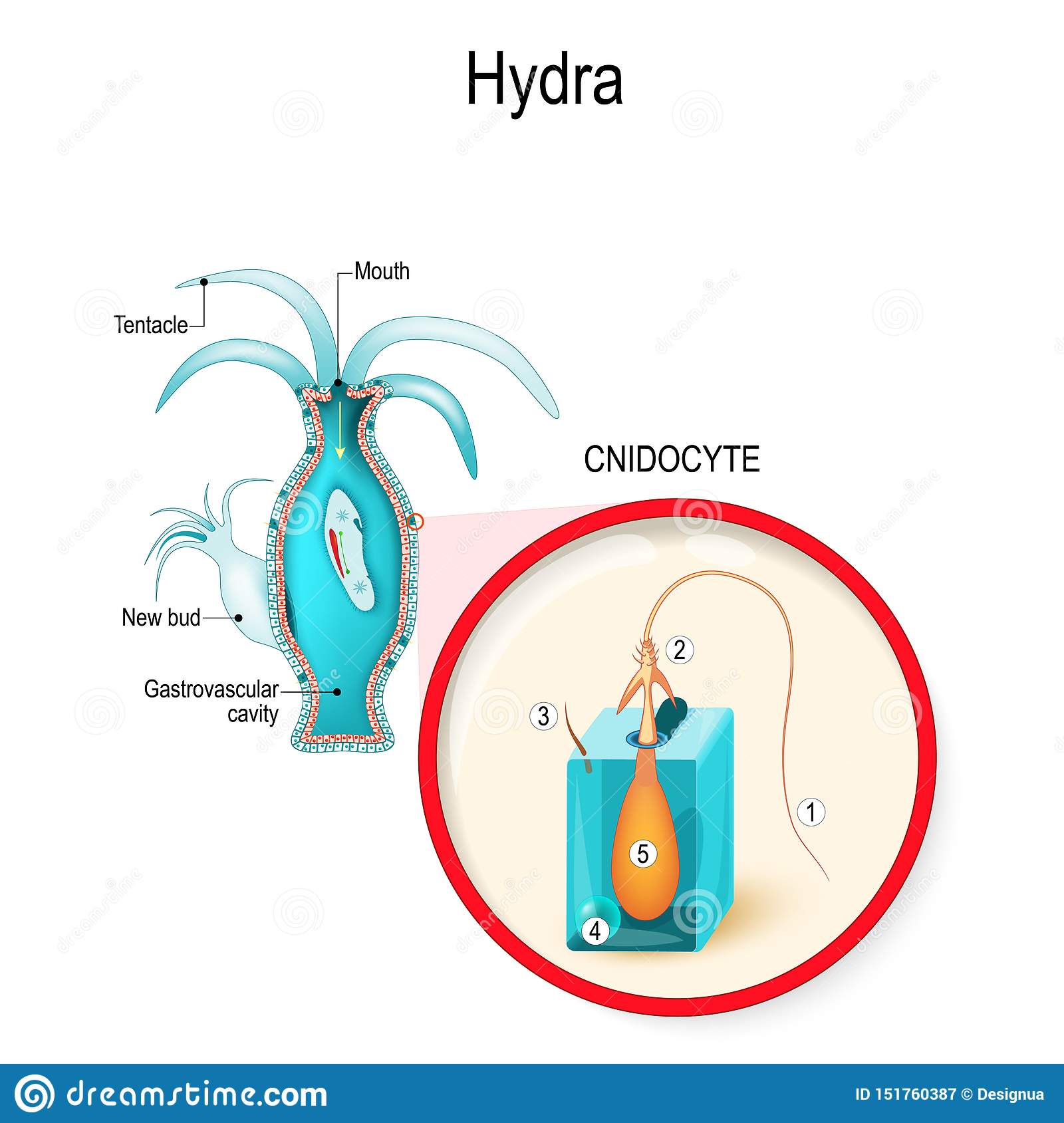 Кракен не грузит